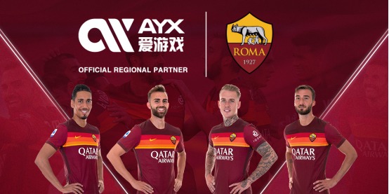 于专业人士